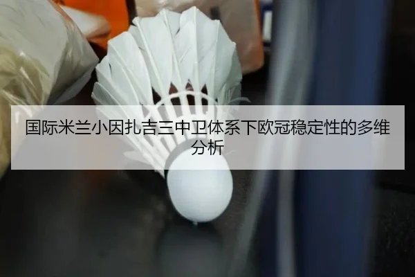 国际米兰小因扎吉三中卫体系下欧冠稳定性的多维分析